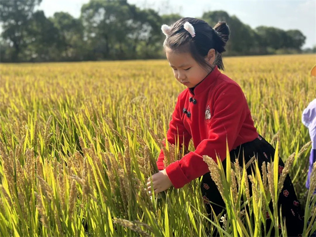 347370cdce7a4894a5820ea2f5f42627.jpg 347370cdce7a4894a5820ea2f5f42627.jpg