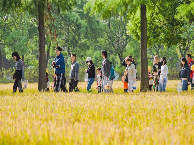 f71e0a149c8845ed83edefd9913d92ec.jpg f71e0a149c8845ed83edefd9913d92ec.jpg