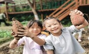 丰收之乐 “薯”你心动 ——星慧幼儿园分园大班年级遇见红薯劳动体验